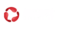 伙伴 - Bole
